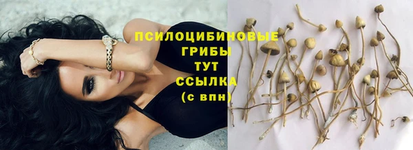 гидра Инсар